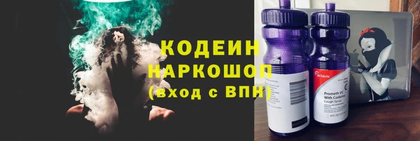 apvp Горнозаводск