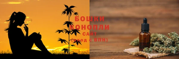 тгк Горно-Алтайск