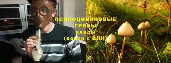 тгк Горно-Алтайск