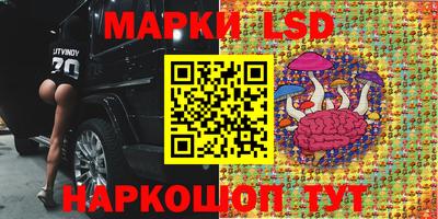 амф Ливны