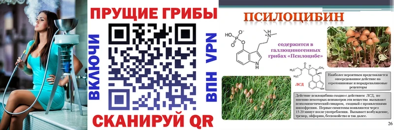 Псилоцибиновые грибы MAGIC MUSHROOMS  ссылка на мегу вход  Дедовск 