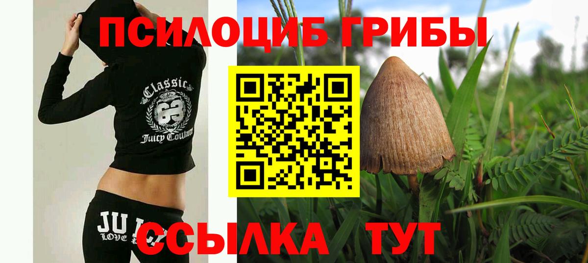 Галлюциногенные грибы GOLDEN TEACHER Дедовск